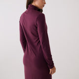 Dynamic Turtleneck Dress
