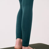 Boost Ankle Leggings